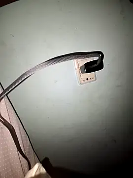 wolf297 online show from February 2026 11:43:02 AM