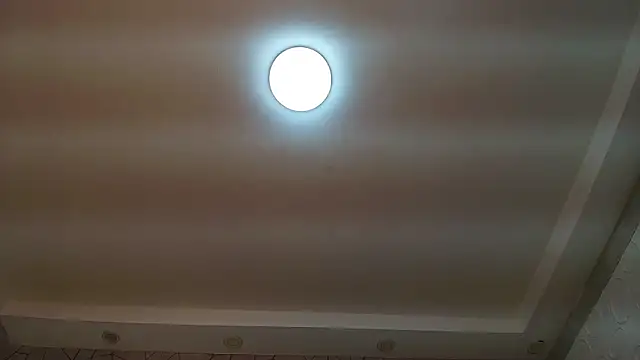 Genesisraydenx online show from March 2026 07:48:01 PM