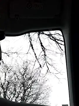 lui8181 online show from March 2026 05:40:01 PM