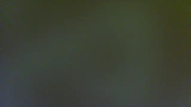 iwantaspen online show from February 2026 04:23:01 AM