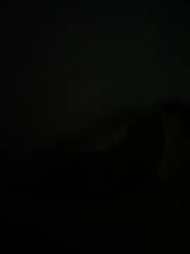 noorqwertz online show from May 2026 04:55:02 PM