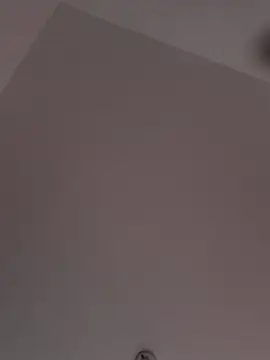 perla stone11 online show from April 2026 08:20:02 PM