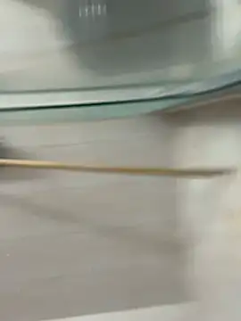 David-latinlover online show from March 2026 10:44:01 PM