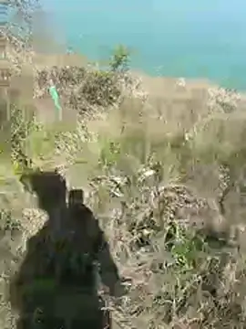 mariaplaya online show from April 2026 09:55:01 AM