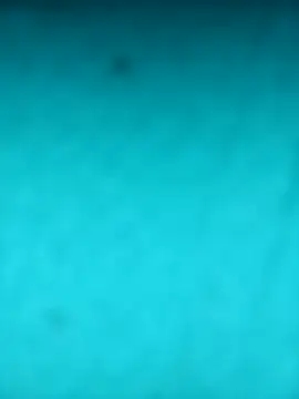 scarlett leex  online show from April 2026 08:28:01 AM