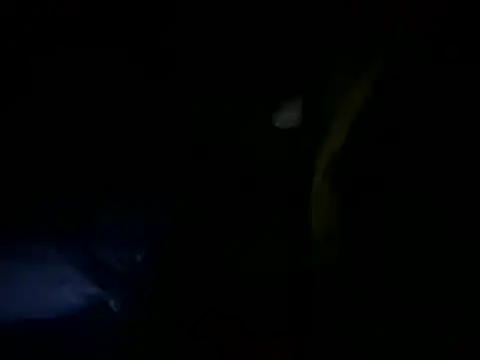 MahmudTheBator online show from April 2026 12:28:02 AM