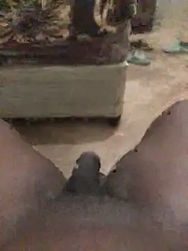 D-fuck-n online show from May 2026 04:31:01 AM