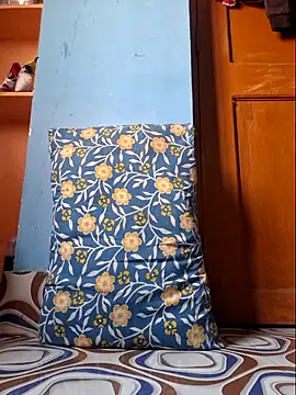 hotindboy online show from February 2026 06:13:01 AM