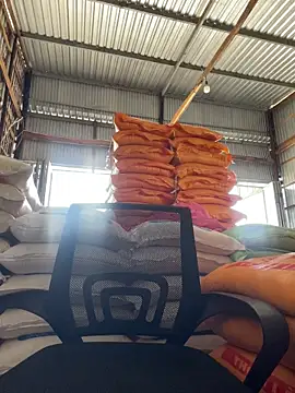 hoang15075 online show from March 2026 09:00:01 AM