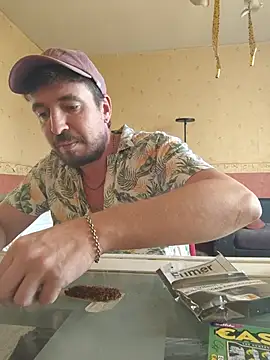 FlippantInsert online show from August 2026 12:36:02 PM