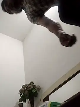 Rocky boy4 online show from March 2026 06:20:01 PM