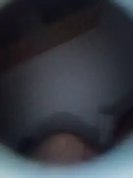 danyelC2 online show from June 2026 03:04:01 AM
