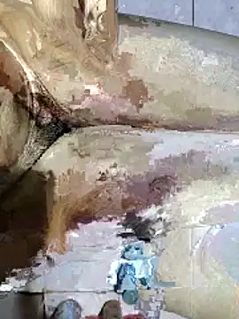 vipzzzxxxxx online show from March 2026 03:53:02 PM