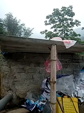 dualeo11 online show from March 2026 01:47:02 AM