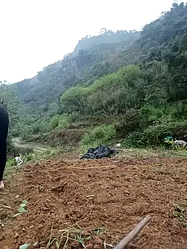 dualeo11 online show from March 2026 06:17:01 AM