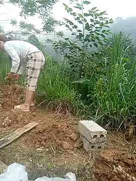 dualeo11 online show from March 2026 02:46:01 AM