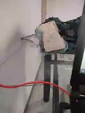 Snapshot of Tamillaxmi12 chatting on March 2026 11:03:01 AM Tamillaxmi12 online show from March 2026 11:03:01 AM