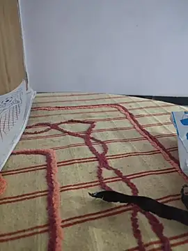 Snapshot of Tamillaxmi12 chatting on March 2026 12:55:01 PM Tamillaxmi12 online show from March 2026 12:55:01 PM