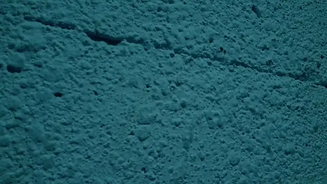 LYNN N SAMUEL online show from April 2026 11:09:02 PM