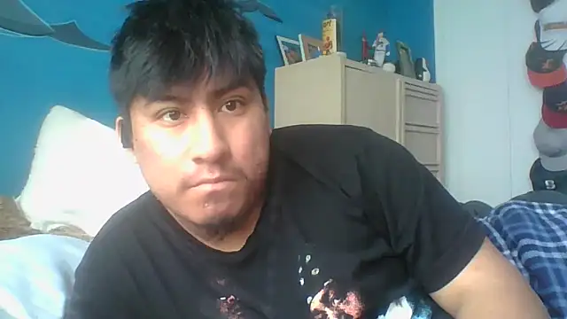 Snapshot of aloking2004 chatting on March 2026 08:31:02 PM aloking2004 online show from March 2026 08:31:02 PM