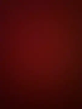 BeeMay22 online show from March 2026 08:10:02 PM