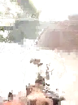 areee214 online show from July 2026 10:12:02 AM