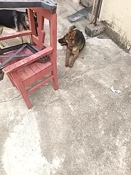 mylove202022 online show from March 2026 02:07:01 AM