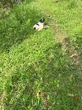 Zoe Luxxe  online show from March 2026 08:30:02 PM