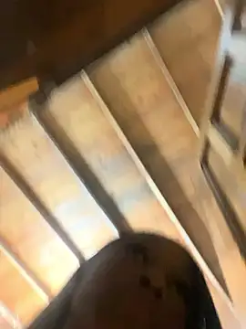 LiaTrainor online show from March 2026 01:50:01 AM