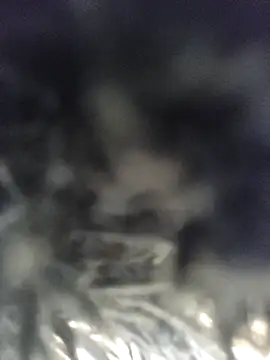 anayss17 online show from March 2026 07:06:02 AM