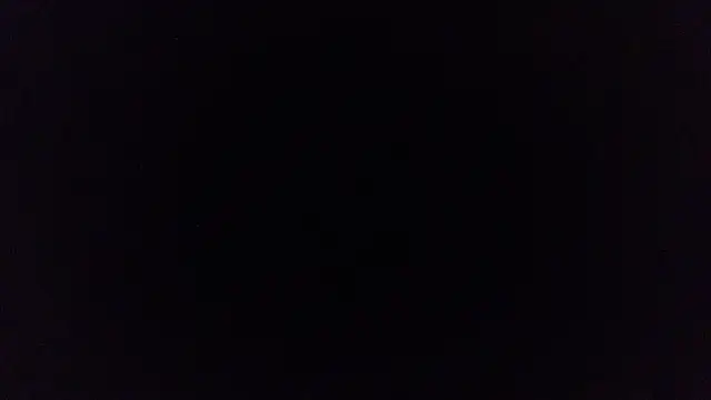 pinkycat online show from May 2026 02:43:02 AM