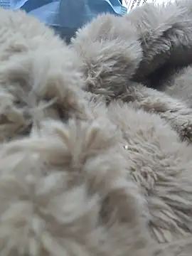 Naomimolie online show from April 2026 11:27:01 AM