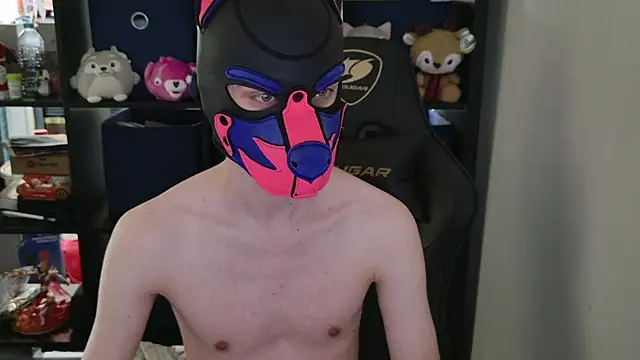 MellPUP online show from April 2026 06:12:02 PM