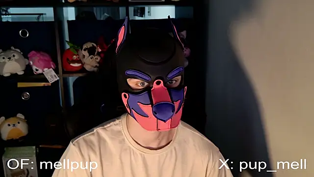 MellPUP online show from June 2026 01:05:01 PM