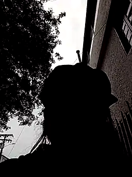 jaade doll online show from March 2026 12:49:01 PM