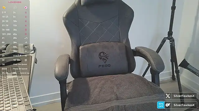 silverfawkesx online show from March 2026 10:32:02 PM