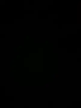 TrustMySoles online show from April 2026 09:00:02 AM