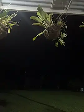 isabella ferrer99 online show from March 2026 05:44:01 AM