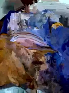 PgL 43 online show from March 2026 11:17:01 AM