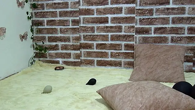 Snapshot of Katia_Cutte chatting on March 2026 09:44:02 PM Katia Cutte online show from March 2026 09:44:02 PM