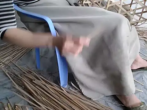 Maila88a online show from March 2026 09:01:01 AM