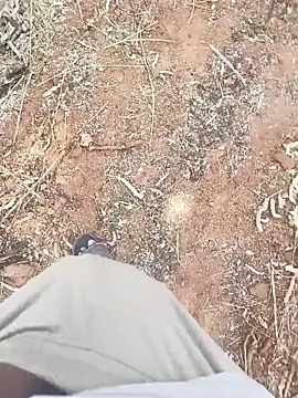 ActiveDick Telugu online show from March 2026 06:14:02 AM