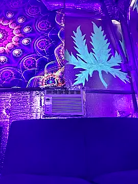 Snapshot of drednasty chatting on April 2026 04:08:01 AM drednasty online show from April 2026 04:08:01 AM