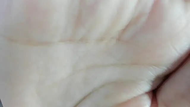 Angell cherryht online show from March 2026 08:43:01 PM