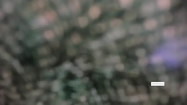 IVONE ASHAR online show from March 2026 03:18:01 PM