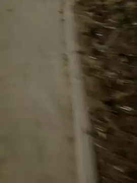 Snapshot of MarekPublicShow chatting on March 2026 09:44:01 PM MarekPublicShow online show from March 2026 09:44:01 PM