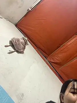 Nini-an online show from March 2026 06:57:01 PM