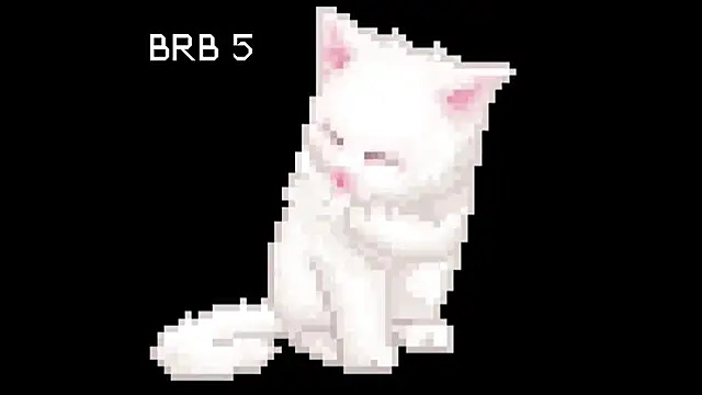 BlinkingDross online show from June 2026 12:22:01 PM