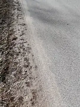 Polishboyek online show from March 2026 12:53:02 PM