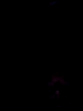 tordilho69RS online show from March 2026 04:20:02 AM